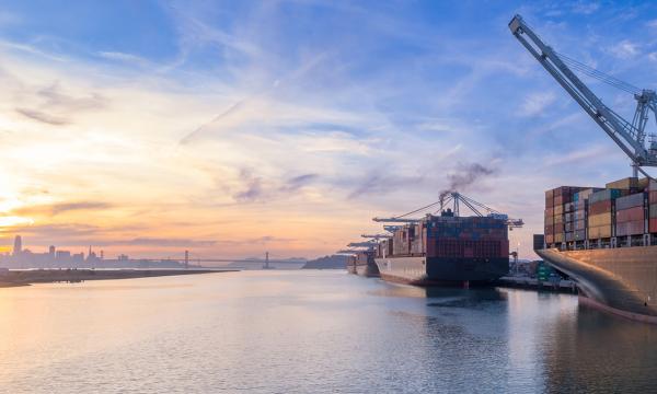 Cargo ships on the water with a city in the background